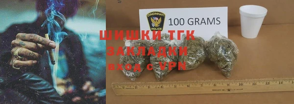 ГАЛЛЮЦИНОГЕННЫЕ ГРИБЫ Алзамай
