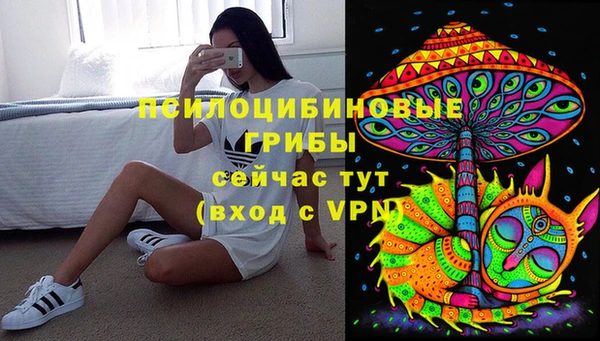 ГАЛЛЮЦИНОГЕННЫЕ ГРИБЫ Алзамай