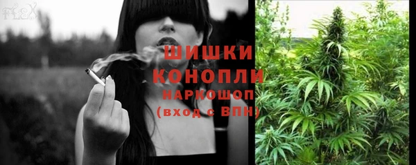 ГАЛЛЮЦИНОГЕННЫЕ ГРИБЫ Алзамай