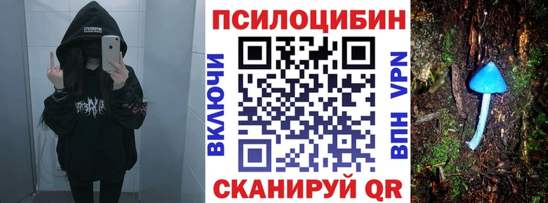 Галлюциногенные грибы прущие грибы  KRAKEN зеркало  Пугачёв 